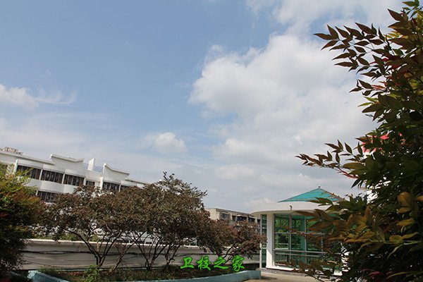 省衛校
