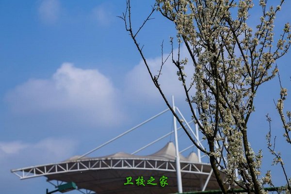 護理職業學院‘’