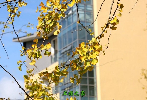 省衛(wèi)校