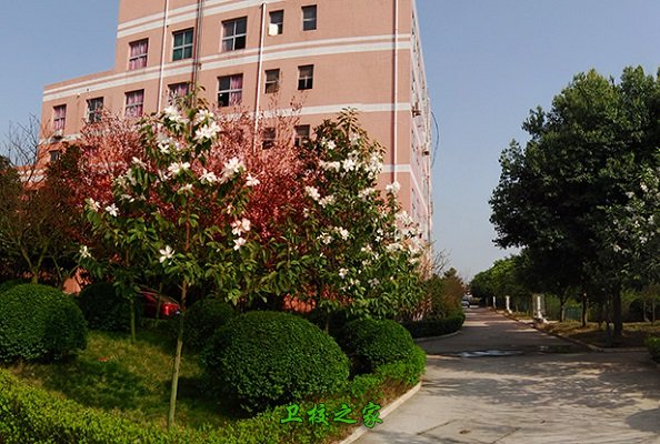 南充衛(wèi)校