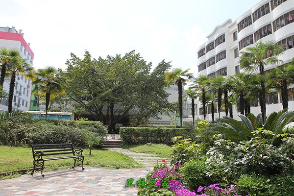 省衛(wèi)校
