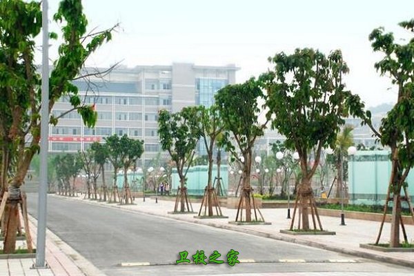 校園風(fēng)景