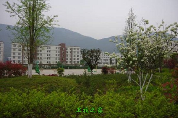 校園環(huán)境