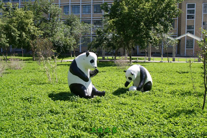 新疆醫科大學校園環境