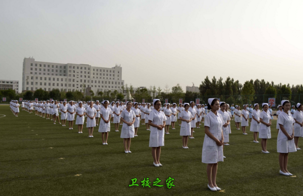 禮儀大賽