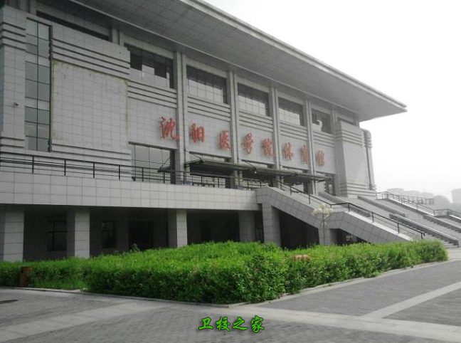 體育館