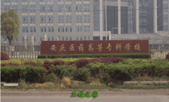 安慶醫(yī)藥高等專科學(xué)校