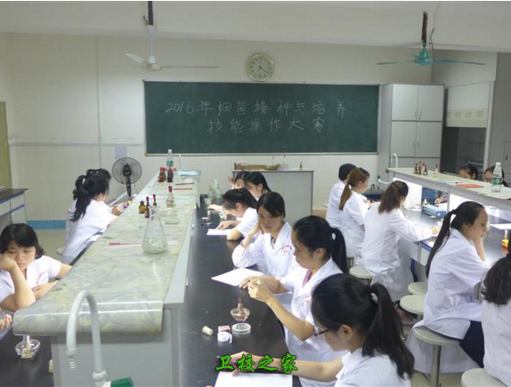 技能大賽