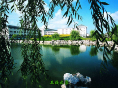 浙江中醫藥大學濱江學院