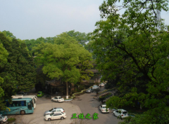 瀘州醫學院衛生學校