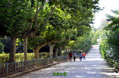 天水市衛生學校