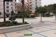 福建省龍巖衛生學校