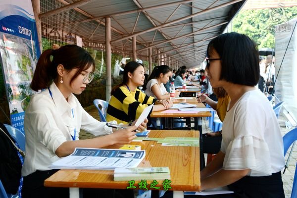 畢業(yè)生面試情況