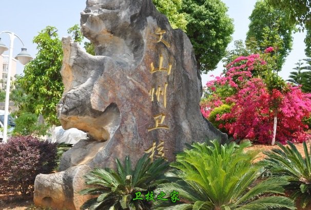 文山州衛校