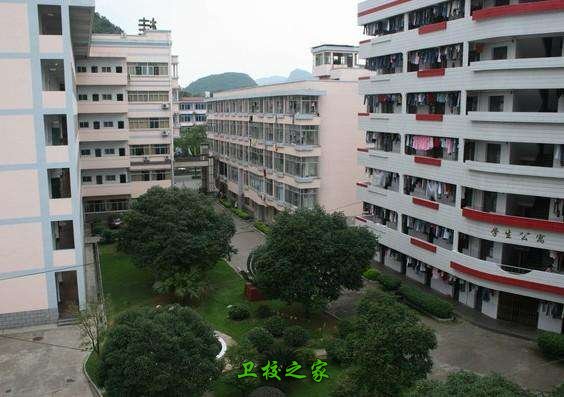 衛生學校