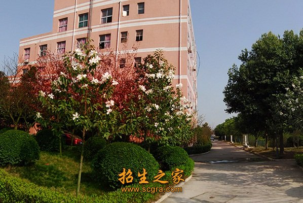 南充衛校