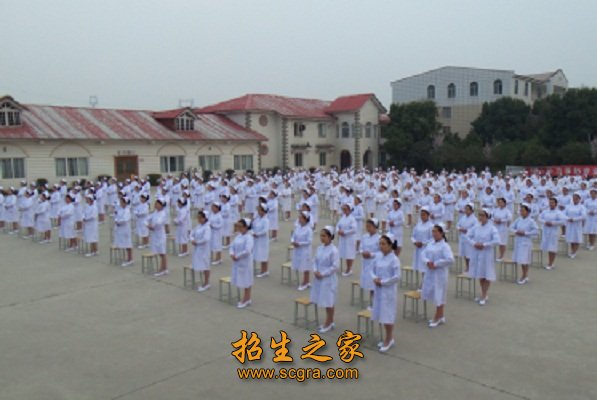 紅十字衛校