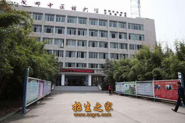 針灸學校